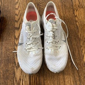 Nike Pegasus Zoom shoe